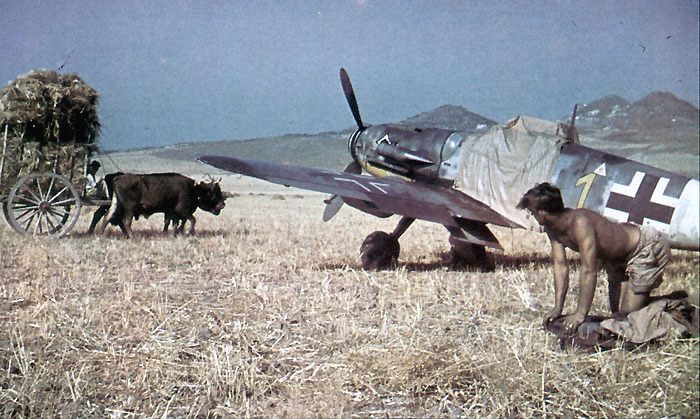 Bf-109G6Trop-6.JG53-(Y1+-)-Alfred-Hammer-Cancello-1943-02