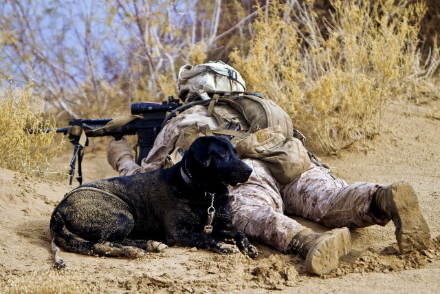 Marines sweep uncharted areas of Khan-Neshin during Operation Highland Thunder