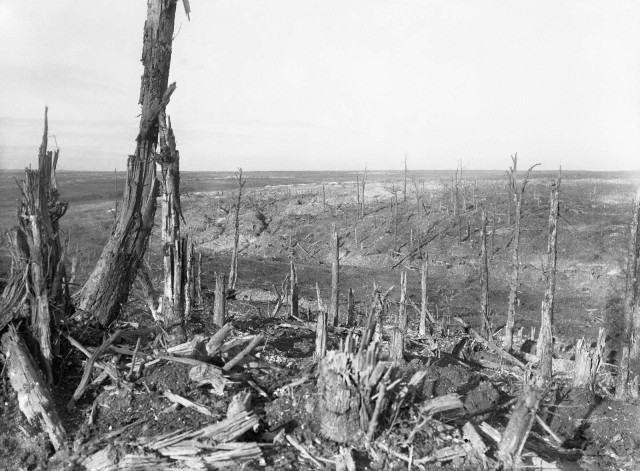 The fields around Beaumont-Hamel after the Battle of the Somme.