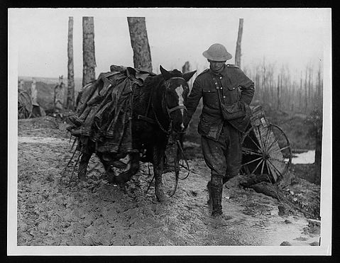 'Horse laden with trench boots on the Somme Front.'