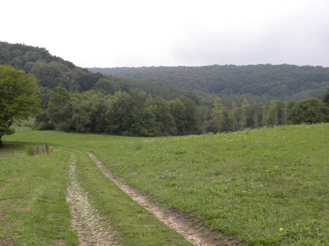 Valley near Chatel Chéhéry, France, where Sgt. York fought. By Wilson44691 - Own work, Public Domain, https://commons.wikimedia.org/w/index.php?curid=11252563