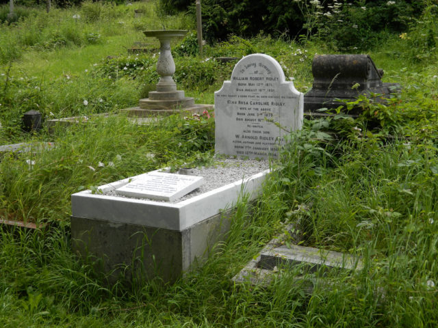 Arnold's gravestone in Bath Cemetery. Photo by Michael Day / Flikr / CC BY-NC 2.0 