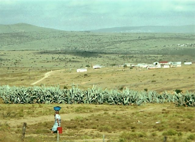 Rural area in Ciskei, one of the apartheid era homelands. Photo Credit.