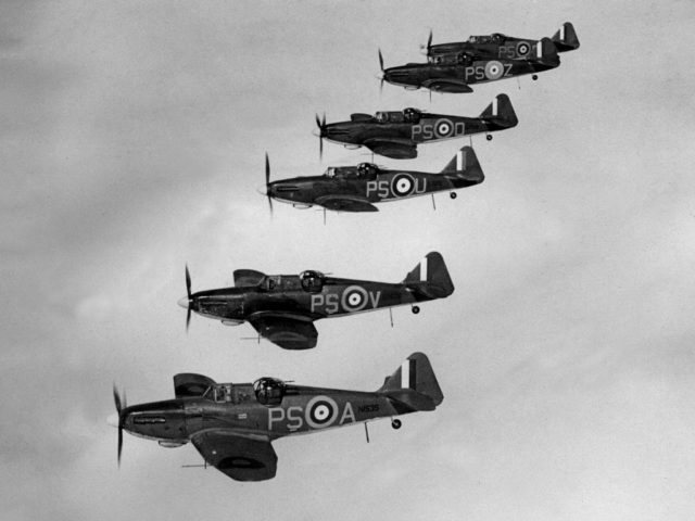 A flight of Defiants from No. 264 squadron. This squadron was the most successful in using the Defiants, having spent months developing tactics specifically tailored to its unique capabilities. Source: wiki/ public domain.