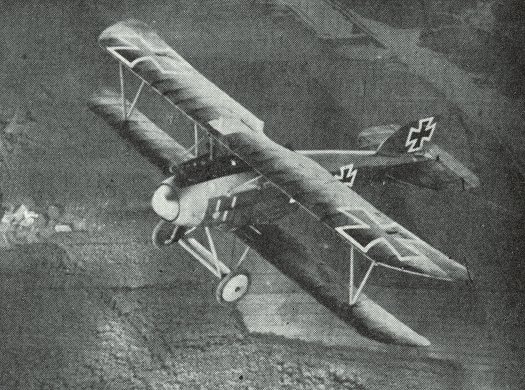 An Albatross DIIIB, similar to what Frankl and Berckhardt would have flown at the end of the war. Image Source: wikimedia commons/ public domain