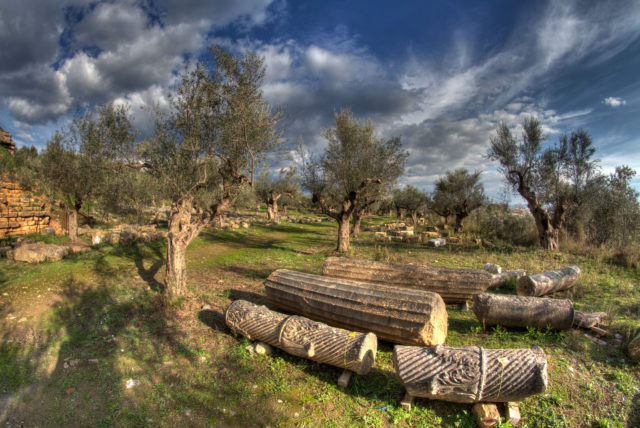 Ruins of Ancient Sparta among olive trees. Photo Credit