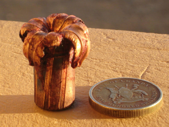 Expanded .458 hunting round (a type of dum-dum bullet) pulled out of an African buffalo Photo Credit
