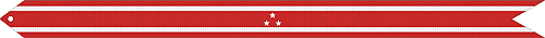 The Philippines Defense Battle Streamer, awarded to the United States Coast Guard for the participation of James Crotty, at the battles of Bataan and Corregidor.