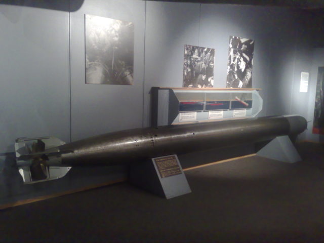 The German G-7a torpedo was the most common type used by German U-boats during the war. It is likely what they fired at their unescorted merchant. 