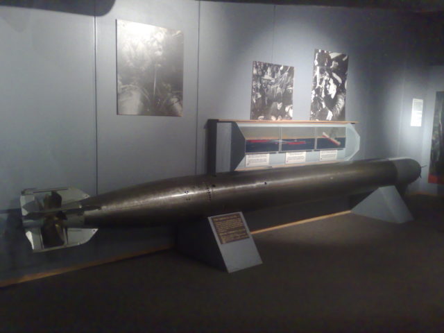 The German G-7a torpedo was the most common type used by German U-boats during the war. It is likely what they fired at their unescorted merchant.