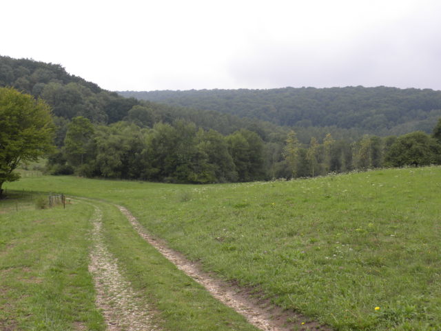The valley at Chatel Chéhér where York fought