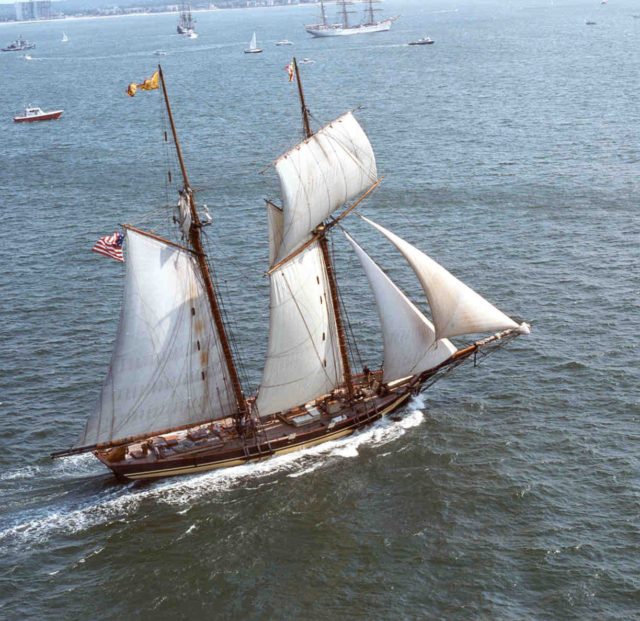 Pride of Baltimore 2, a reproduction of a 19th-century schooner. The Jeune Richard looked very similar, although she was more heavily armed;