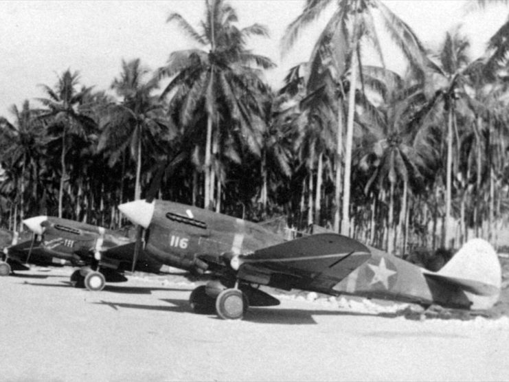 P-40s on the flight line in the Pacific during World war II.
