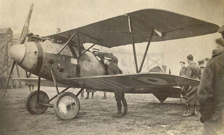 Captured Albatros D.V (serial D.1162/17) with British roundels.