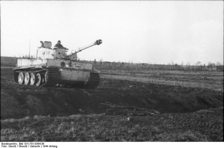 North Russia, Panzer VI (Tiger I). By Bundesarchiv – CC BY-SA 3.0 de.