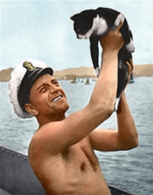 Unsinkable Sam, the only cat in WWII to have served in both the Kriegsmarine and the Royal Navy. Paul Reynolds / mediadrumworld.com