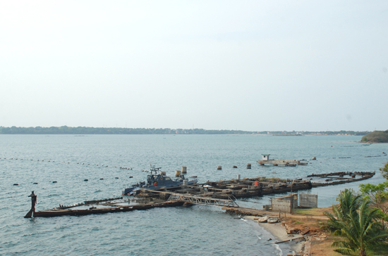 Sri Lanka Navy