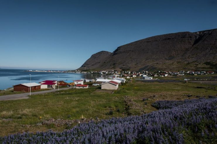 The small fishing village of Patreksfjordur in the Westfjords of Iceland. Emstrur CC BY-SA 4.0