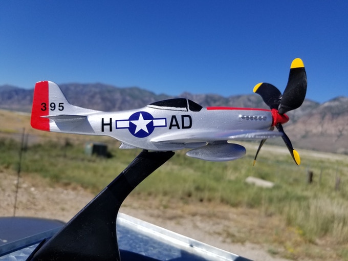 The P-51 In Action