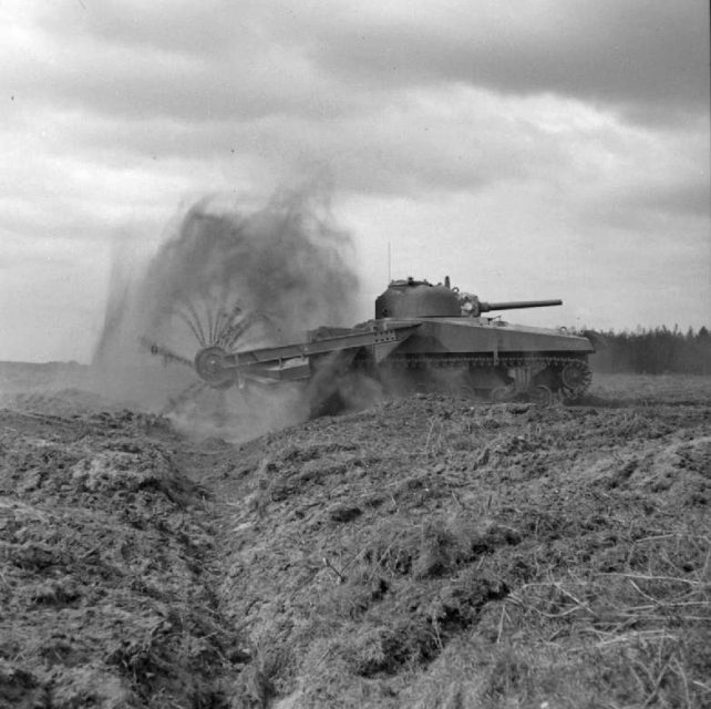 Sherman crab flail tank under test, 79th Armoured Division.