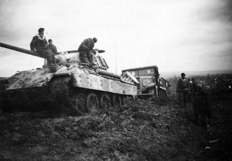 Panther tank in mud