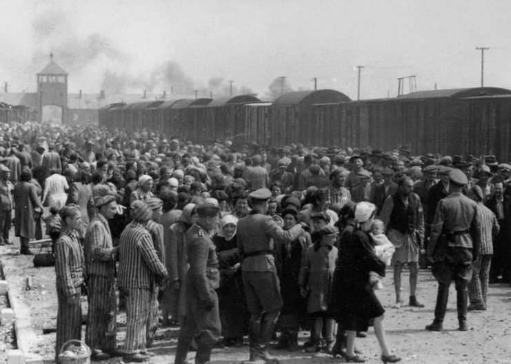 Hungarian Jews on the Judenrampe (Jewish ramp) after disembarking from the transport trains. To be sent rechts!—to the right—meant the person had been chosen as a laborer; links! – to the left – meant death in the gas chambers.