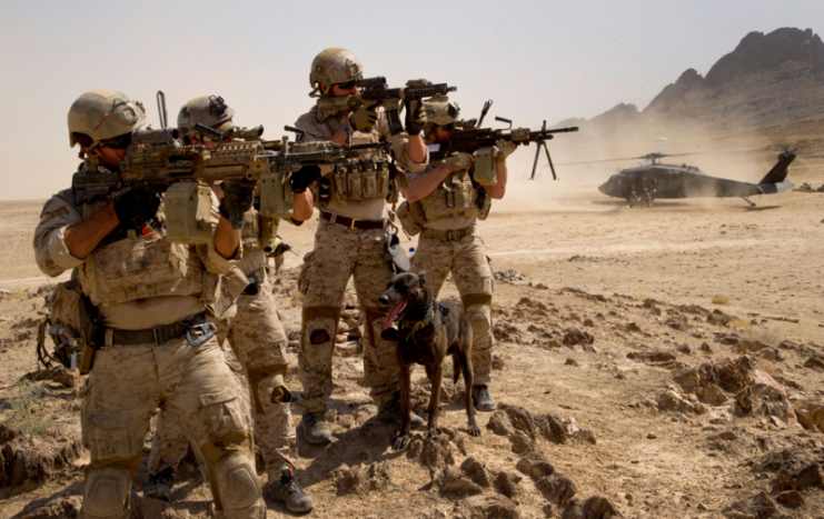 U.S. Navy SEALs, in Afghanistan.