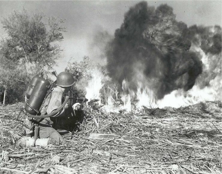 A soldier from the 33rd Infantry Division uses an M2 flamethrower