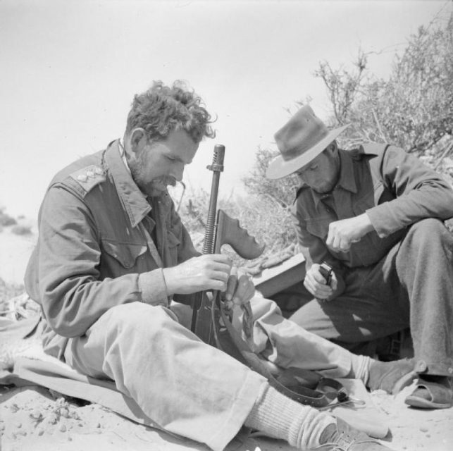 The British Army in North Africa 1942