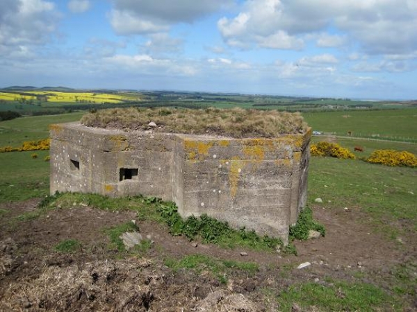 WWII Pillboxes out in the Northumbrian wastes. 