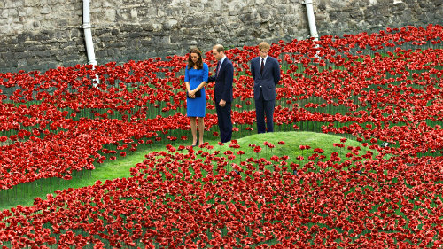 The Royals taking part of the 'planting' of the ceramic poppies.
