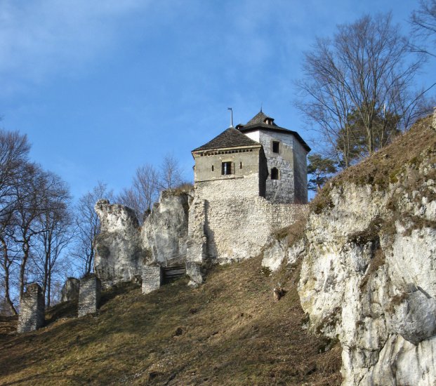 kazimierz castle
