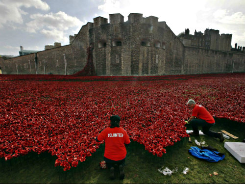 Volunteers as they were starting to remove the Tower of London poppies.