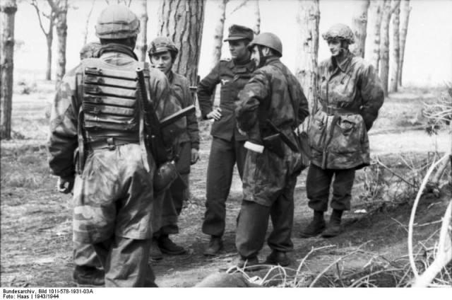 German and Italian soldiers talking in a wood near Cassino