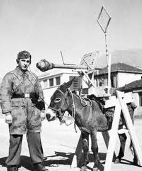 A95 FREAKY BIZARRE STRANGE ODD Army WW2 Carrying Donkey VINTAGE PHOTO WEIRD Pic 