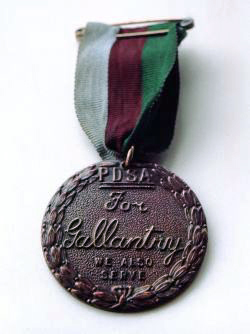 The People’s Dispensary for Sick Animals’ (PDSA) Dickin Medal, given to animals who showed conspicuous gallantry or devotion to duty while serving in military conflict
