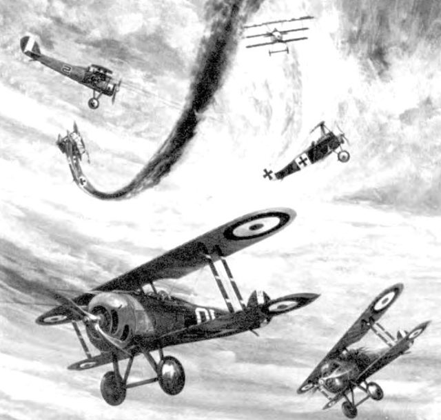 Air Combat - Western Front World War I, Air Service, United States Army.