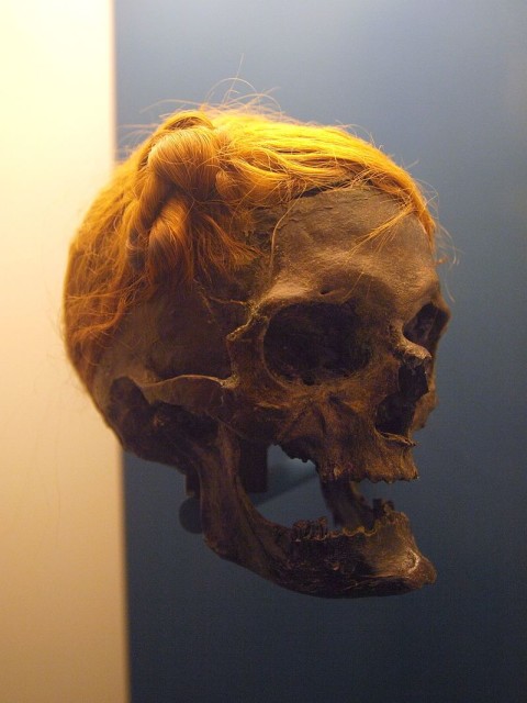 Osterby Head, from remains preserved in a bog. Note the typical Suebi knot. (Bullenwächter – commons-.wikimedia).