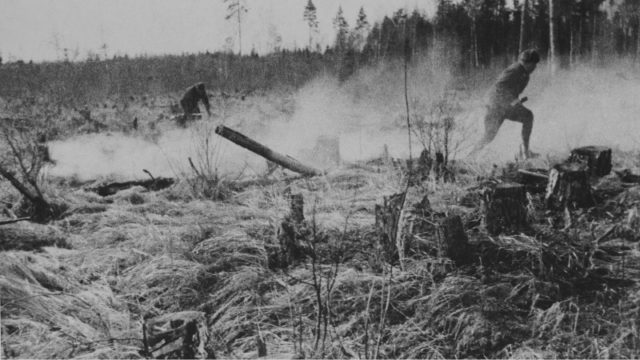 Soviet soldiers during counterattack in the Leningrad region. This picture was taken during an attack on bunkers, northwest of Kirishi [Via]