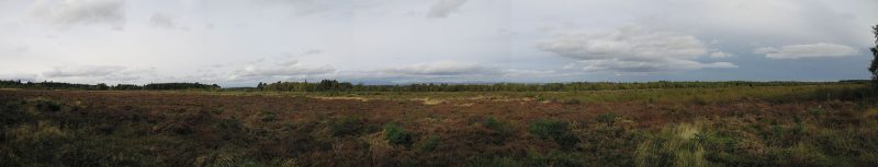 Panorama of the battlefield at Culloden, via Wikipedia