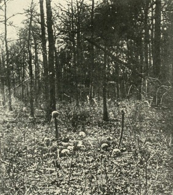 Skulls still remain on the battlefield of the horrific Battle of the Wilderness, via Wikipedia