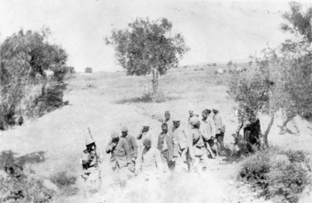 Turkish prisioners of war escorted by allied soldiers near Chunuk Bair.