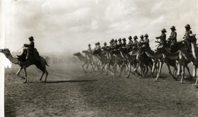 Earlier British Camel Troopers in Africa in 1913 via commons.wikimedia.org Public Domain