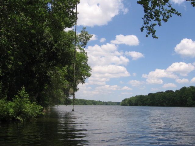Alabama River (Public Domain / Wikipedia)