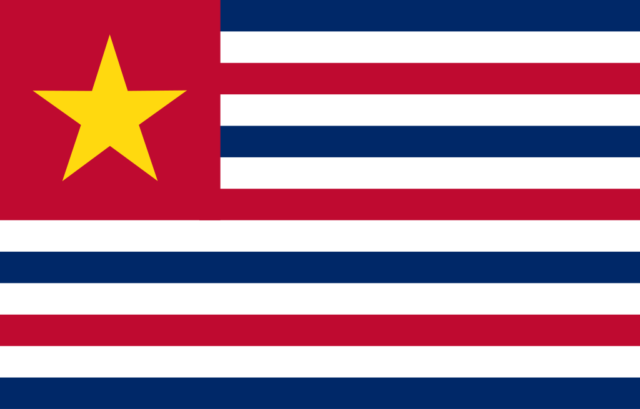 The flag of Louisiana during their secession.