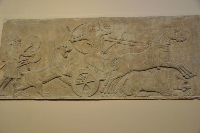 Assyrian Chariots in a Relief Held By the British Museum. Photo Credit