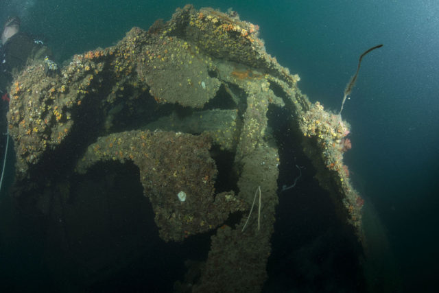 A photograph taken of the wreck of Perth during the 2015 United States-Indonesia survey.