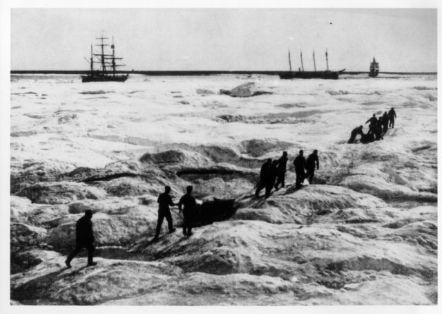 The Crew from Revenue Cutter Bear haul supplies over the ice to stranded whaling ships. Such activities made Healy and his ship well known and appreciated by the fishermen and whalers in the Bering Sea;