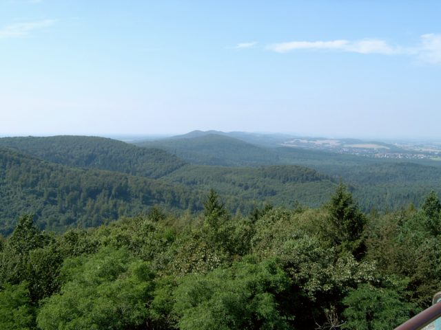 The forest in which Arminius sprung his trap. By Arminia – CC BY-SA 3.0