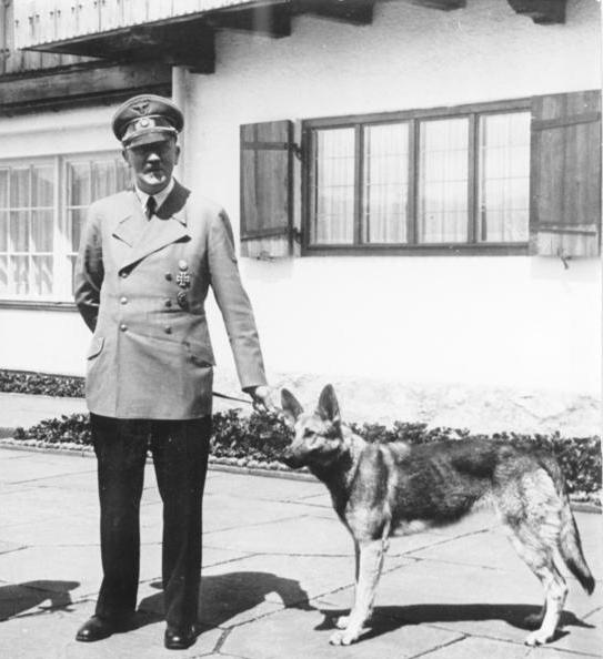 Adolf Hitler with Blondi at the Berghof – his mountain retreat in the Bavarian Alps